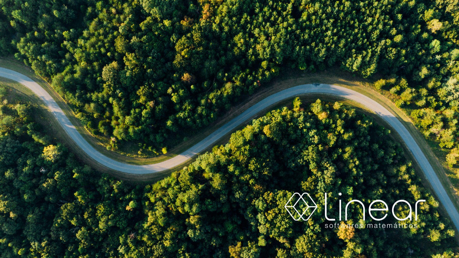 COP30 e supply chain: o que o fim da conferência muda para a sua cadeia de suprimentos